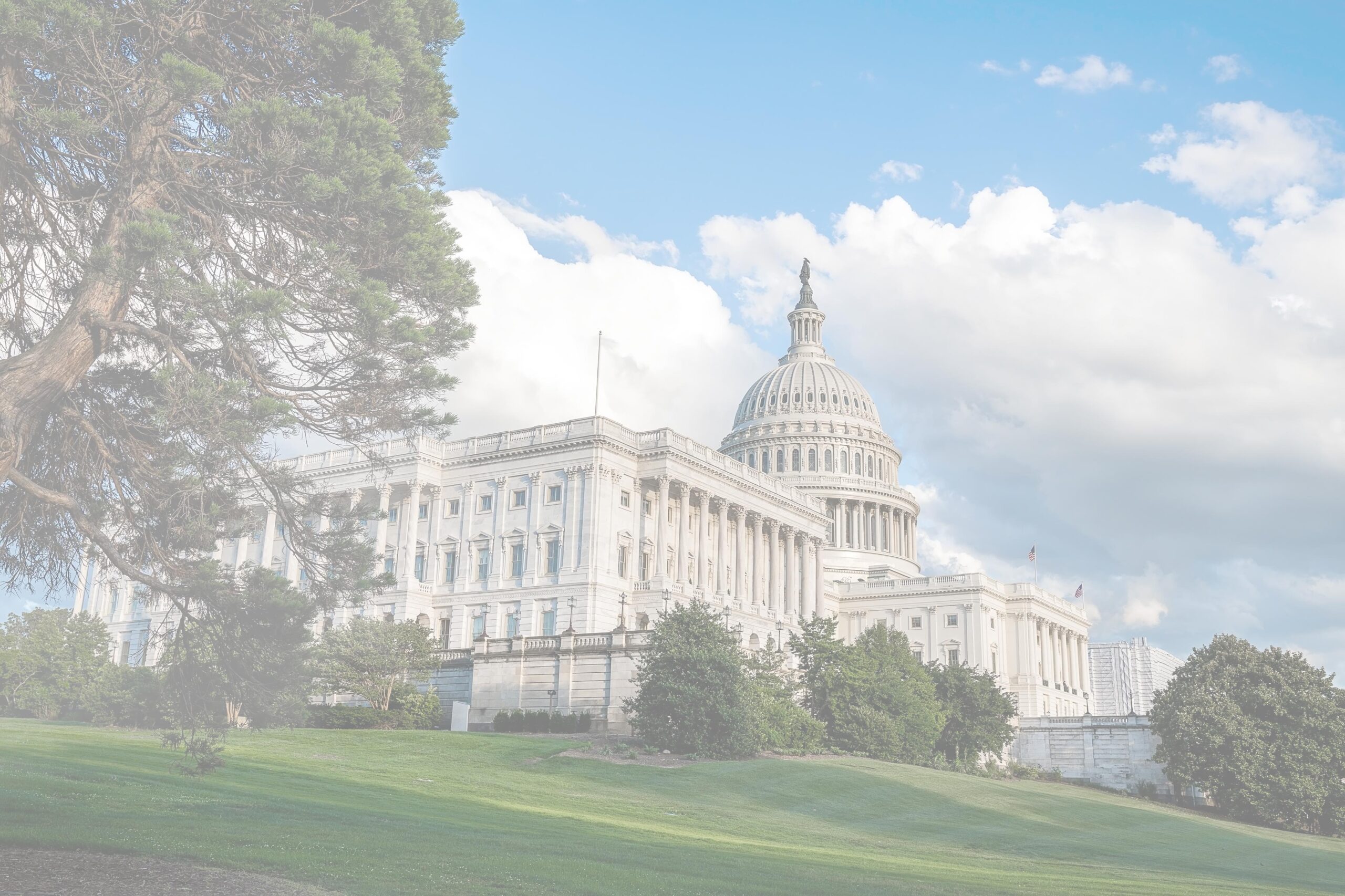 US Capitol background image